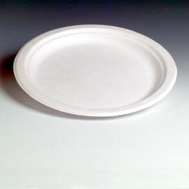 10″ Round White Paper Plate Bagasse Compostable (400)
