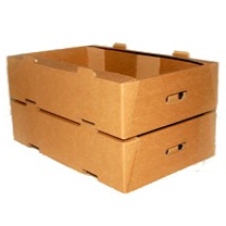 Delivery Tray Cardboard 22 x 15 x3″ (50)