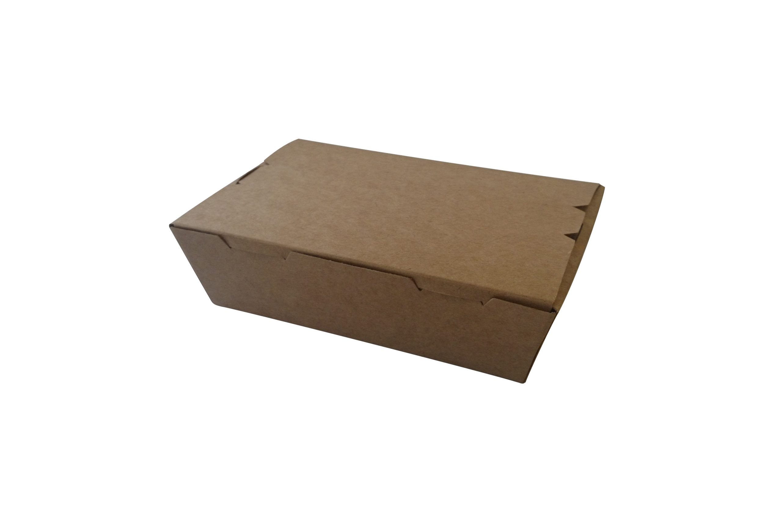 Brown Hinged Small Lunch Box (200)