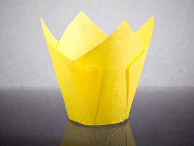 Orange Muffin Wraps(1200)