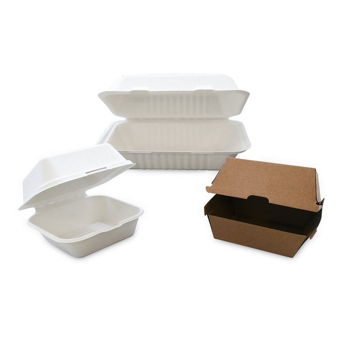 Takeaway Food Boxes for Burgers or Larger Meals