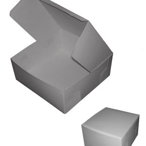 White Small and Large Cake Box