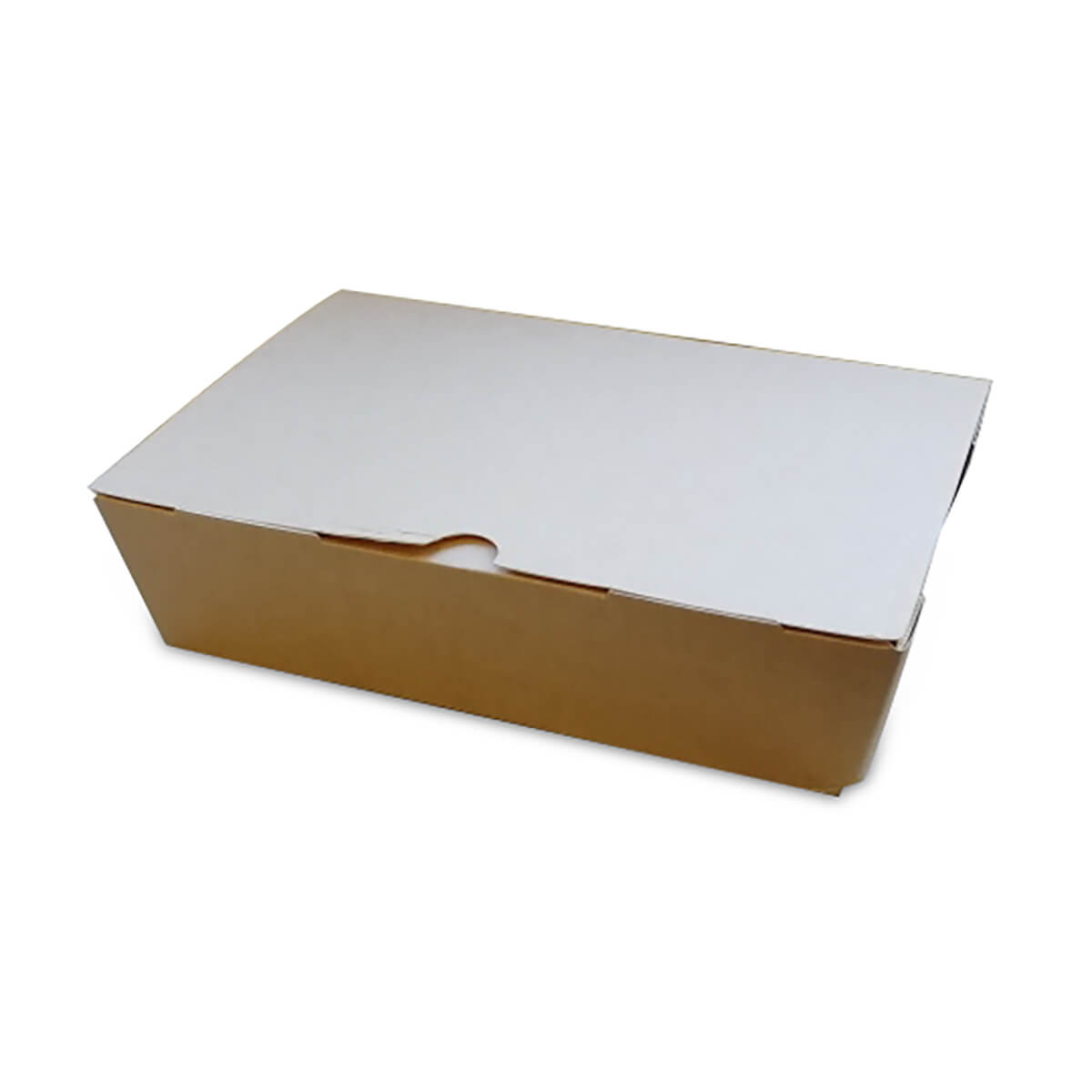 CFB-LGE 1200cc Large Corrugated Hinged boxes (195x140x65mm) (100)