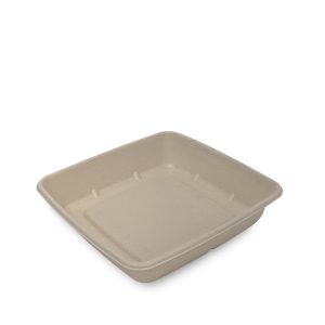 Takeaway Food Bowl/Tray