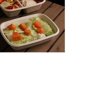 Salad tub with food inside without lid