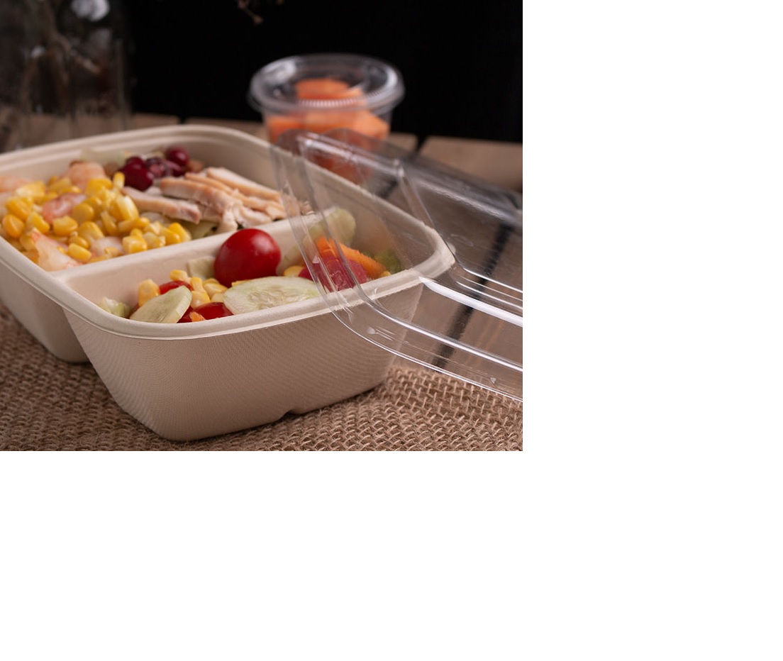 Pulp 100% Compostable 2 Compartment Rectangular 900cc Tray (300)