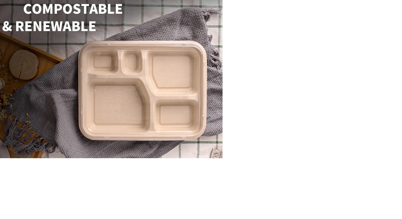 5 Compartment PULP-Bento Tray  (300 per/case)
