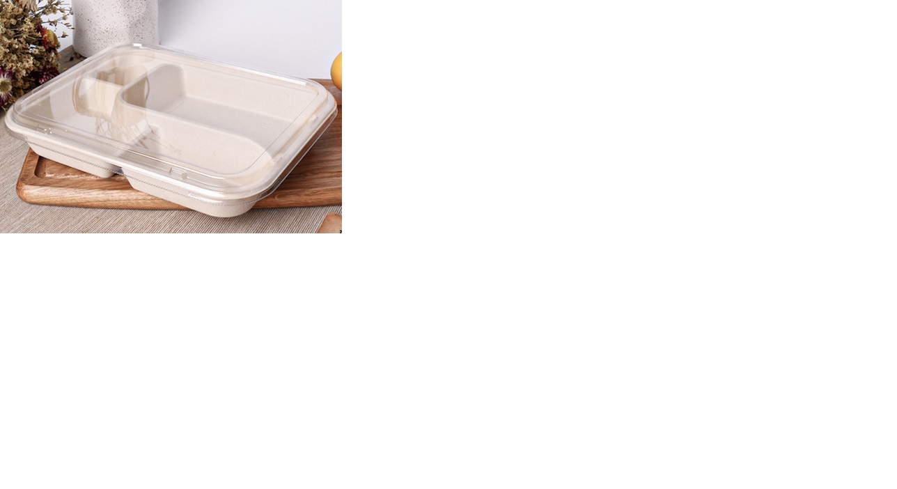 Clear PET Lid FOR BENTO305