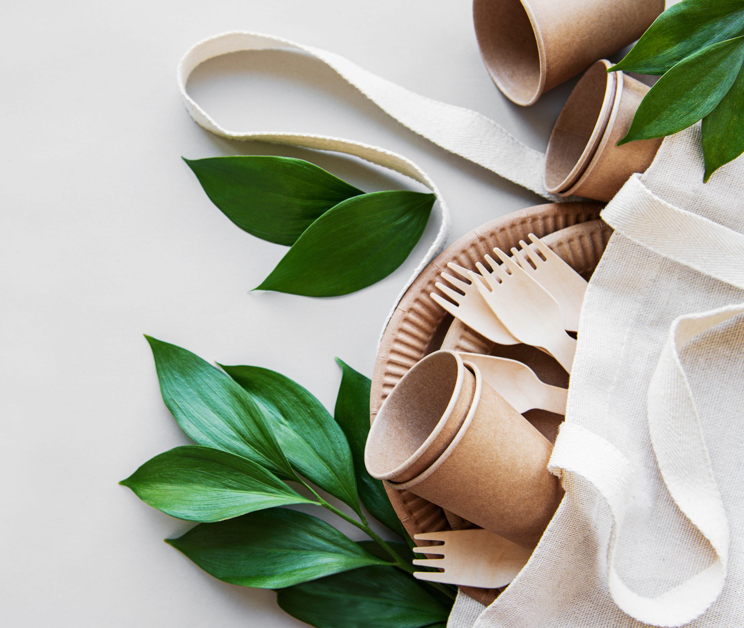 eo-friendly packaging