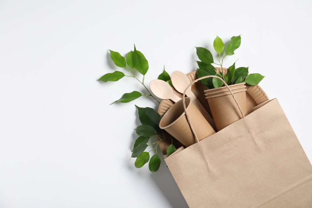 How Consumers Are Driving the Demand for Green Food Packaging